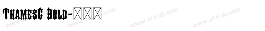ThamesC Bold字体转换